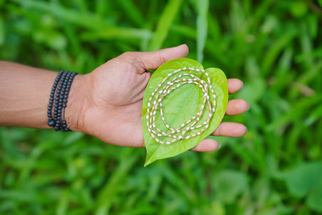 Tulasi collection
