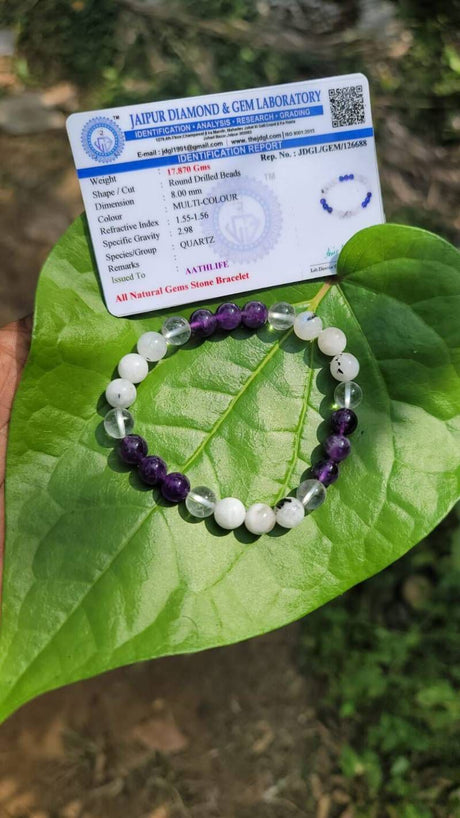 Education collection