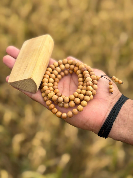 White Sandalwood collection