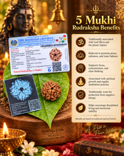 5 Face Rudraksha (pancha Mukhi)