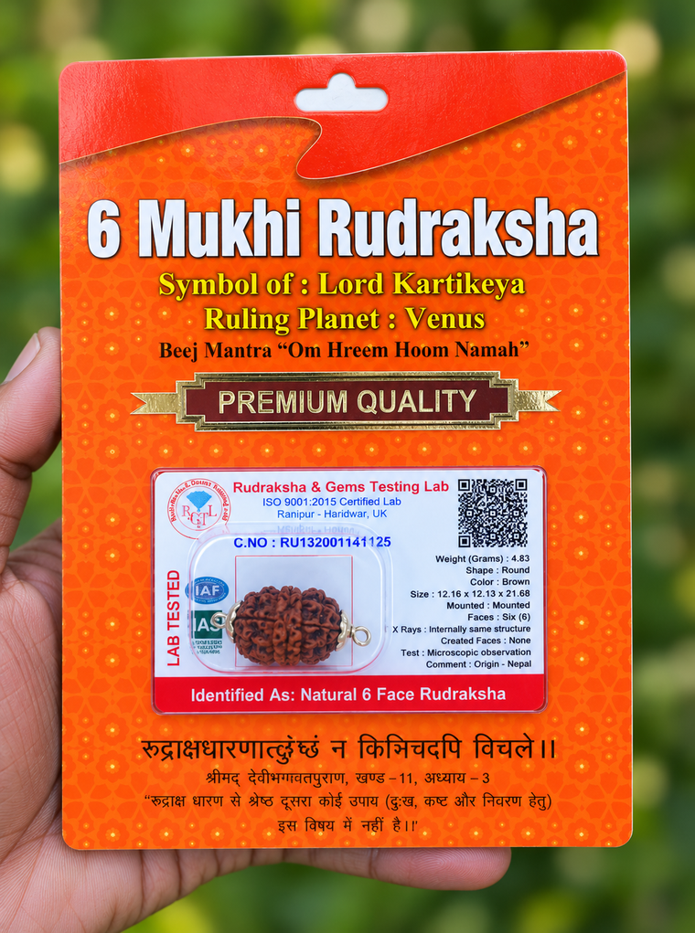 6 Face Rudraksha (Shat Mukhi) Silver Dollar