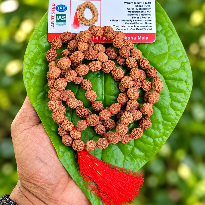 4 Face Rudraksha (chatur Mukhi) Mala 108 beads