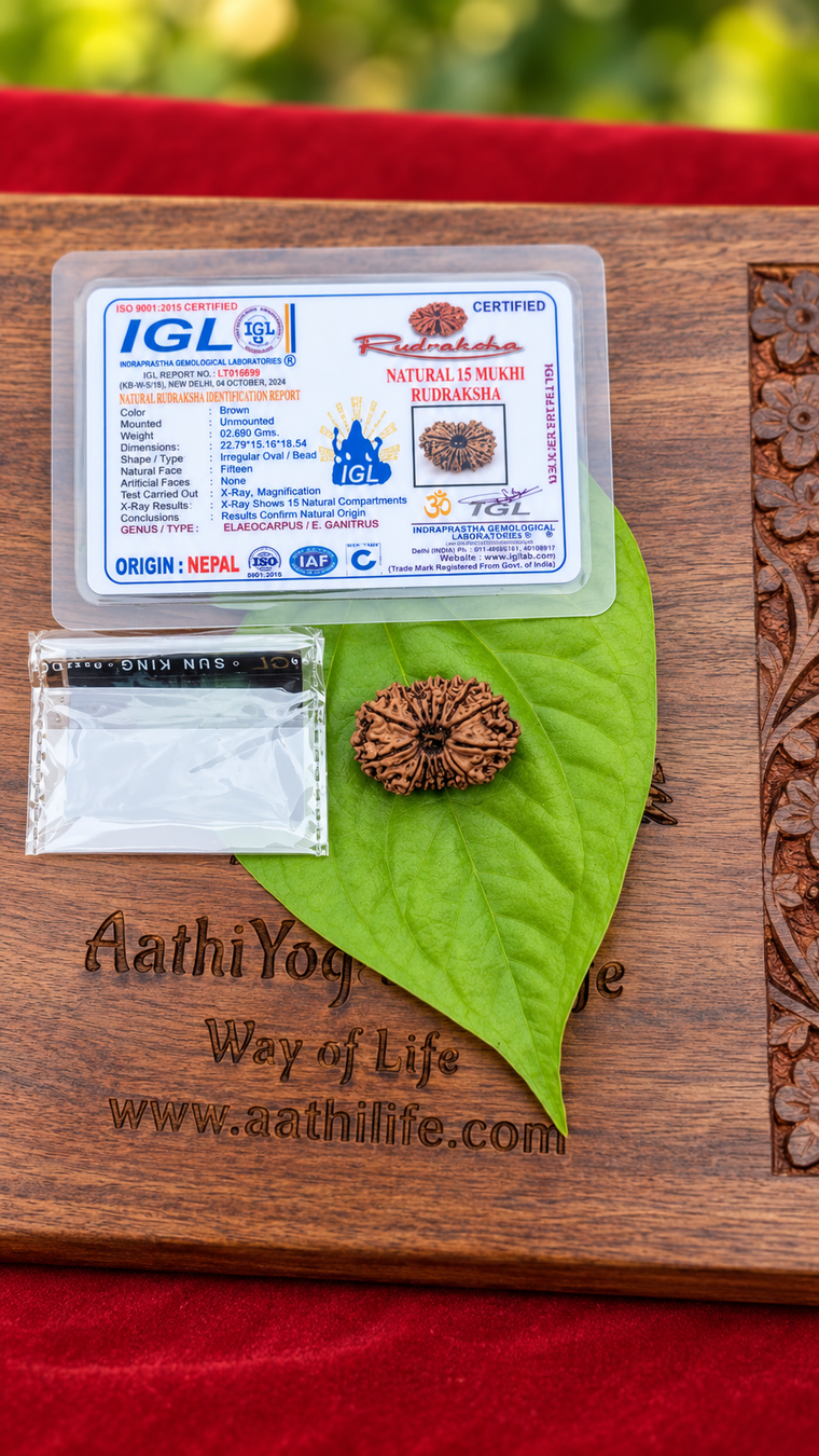 15 Face (mukhi)Rudraksha