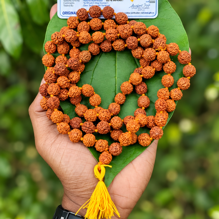 Rudraksha mala with yellow Thread -10mm