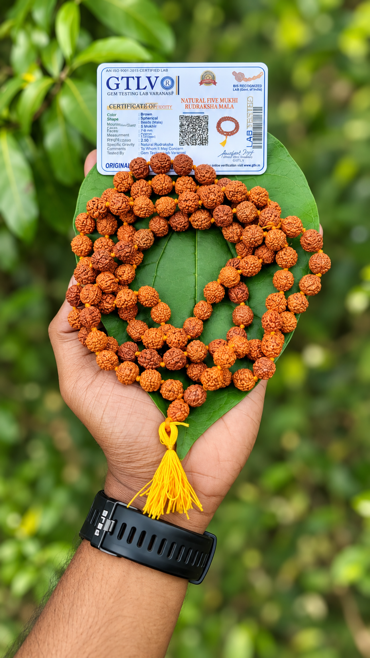 Rudraksha mala with yellow Thread -10mm