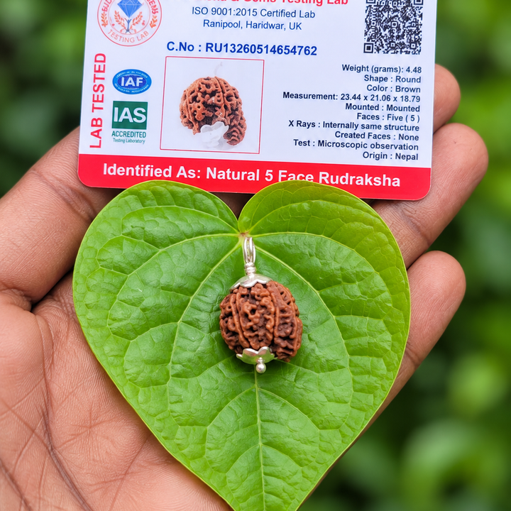 Premium 5 Face Ganesha Rudraksha Dollar With Silver Cap