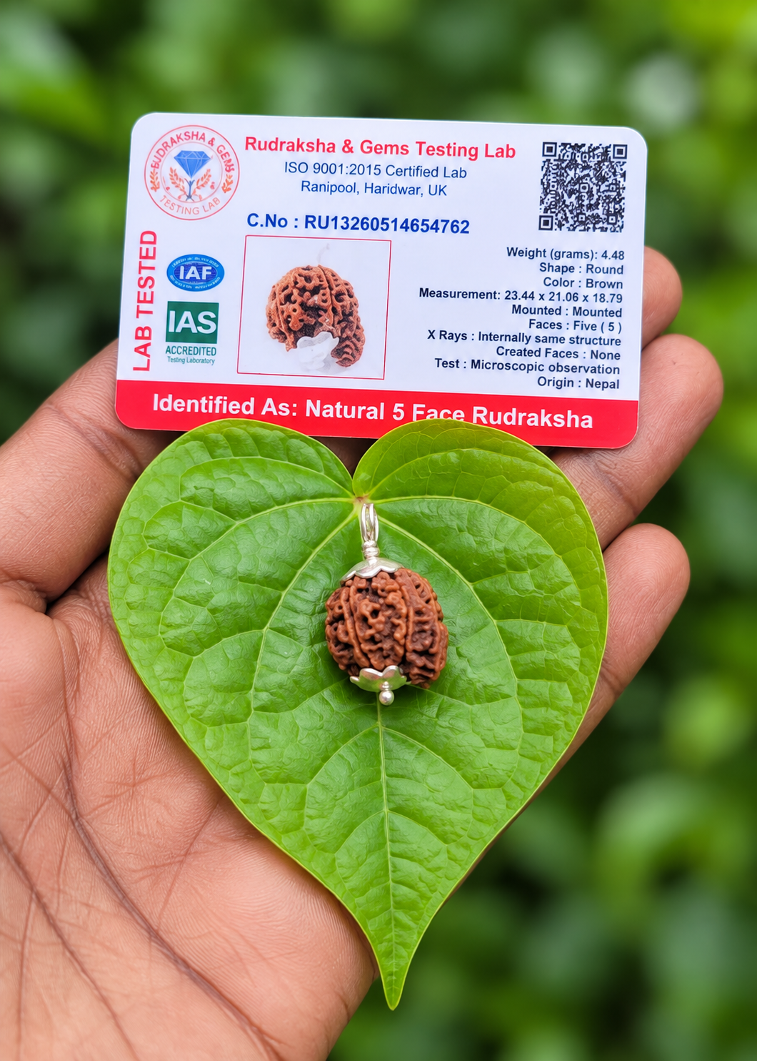 Premium 5 Face Ganesha Rudraksha Dollar With Silver Cap