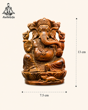 Tiger Eye Ganesh statue Exotic collection (485gram)