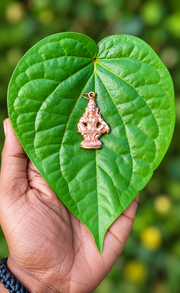 Ayyappa Dollars Sabarimala Special