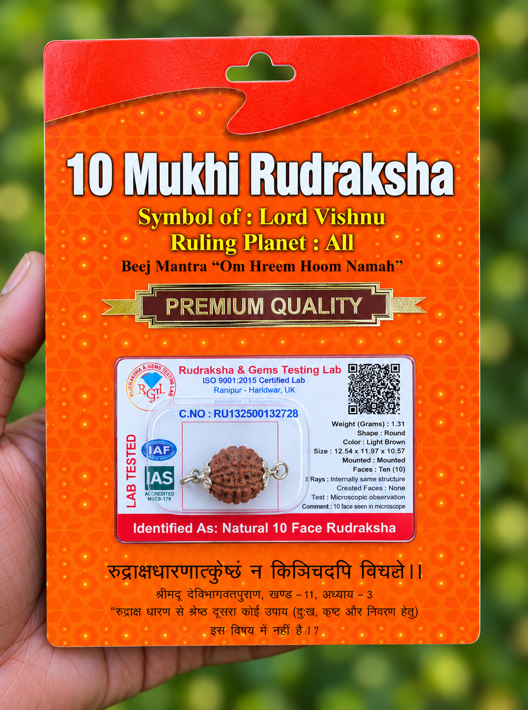 10 Face Rudraksha (dasha Mukhi) Silver Dollar