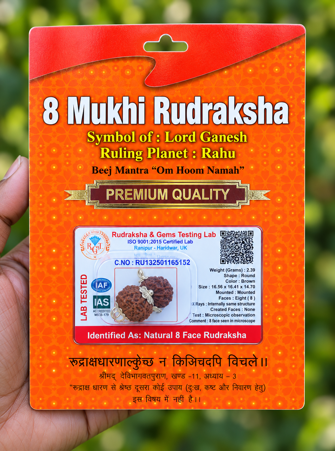 8 Face Rudraksha (ashta Mukhi) Silver Dollar