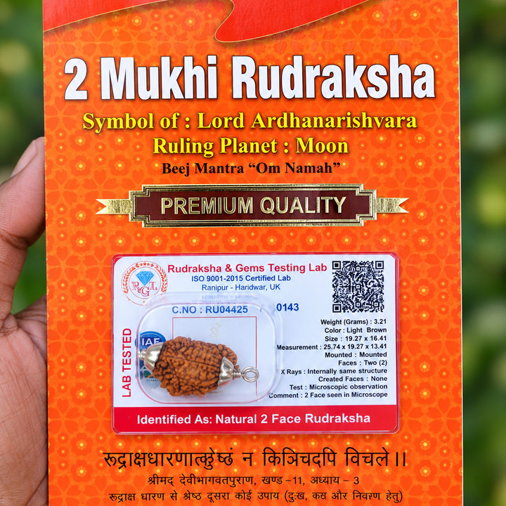 2 Face Indian Rudraksha (dve Mukhi) Silver Dollar