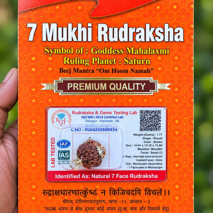 7 Face Rudraksha (sapta Mukhi) Silver Dollar