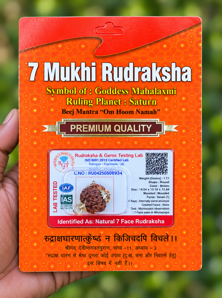 7 Face Rudraksha (sapta Mukhi) Silver Dollar