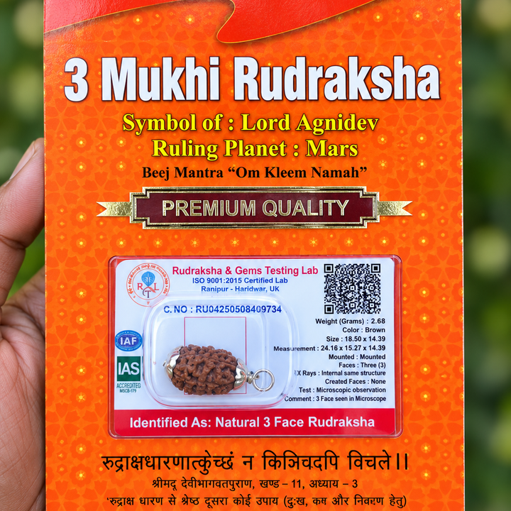 3 Face Rudraksha (tre Mukhi) Silver Dollar