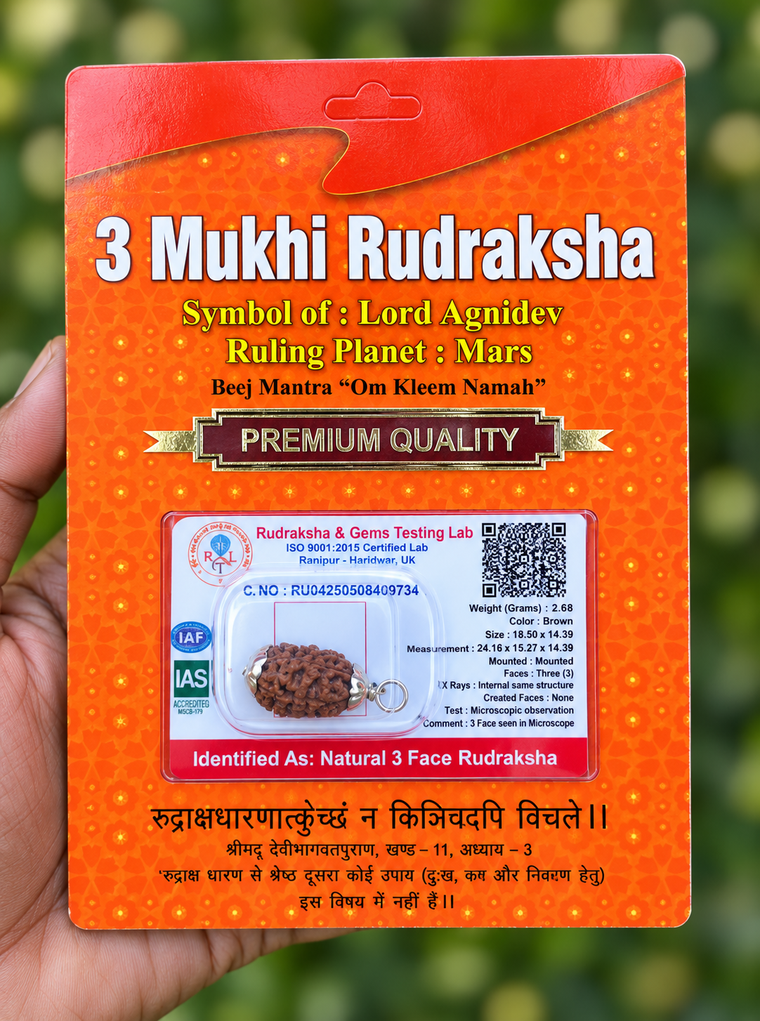 3 Face Rudraksha (tre Mukhi) Silver Dollar