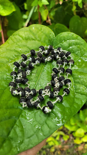 Karungali Silver(925) Cap Mala - 8mm