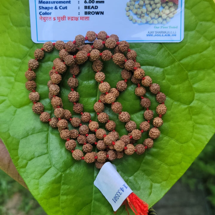 Rudraksha Mala 6mm(5face)- 108 beads