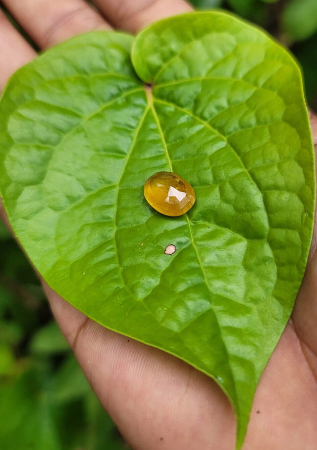 Yellow Sapphire (Guru)