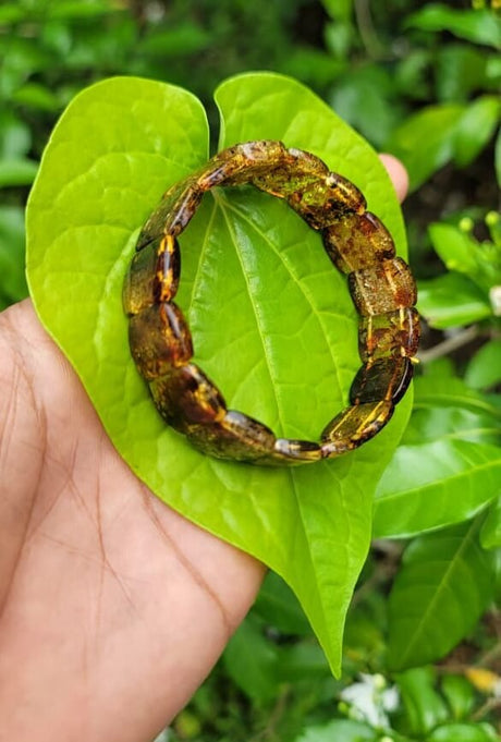 Amber Bracelet (pure original)