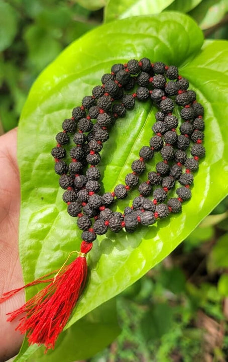 Black Rudraksha Mala 6mm