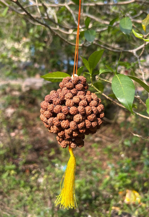 Rudraksha Home Decor Hanging