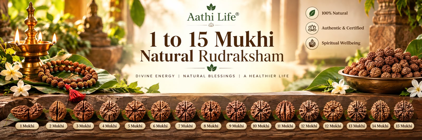 Natural Rudraksham