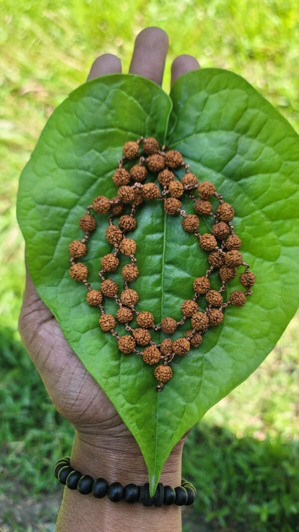 Brown Rudraksha Mala Copper wire - 8mm