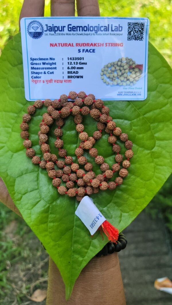 Rudraksha Mala 6mm- 108 beads