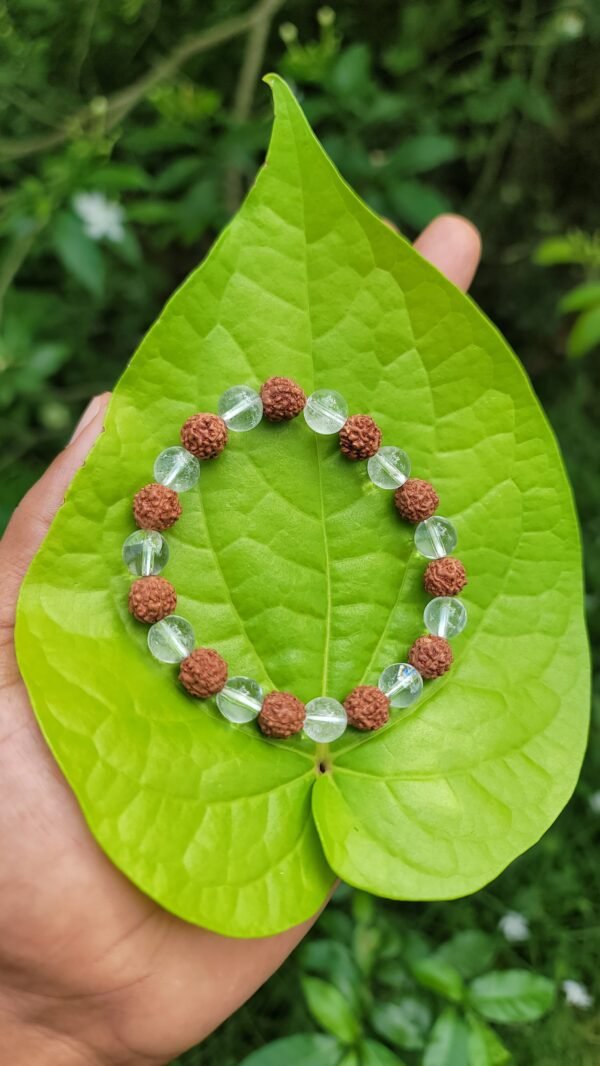 Rudraksham & Spatika Bracelet - 8mm