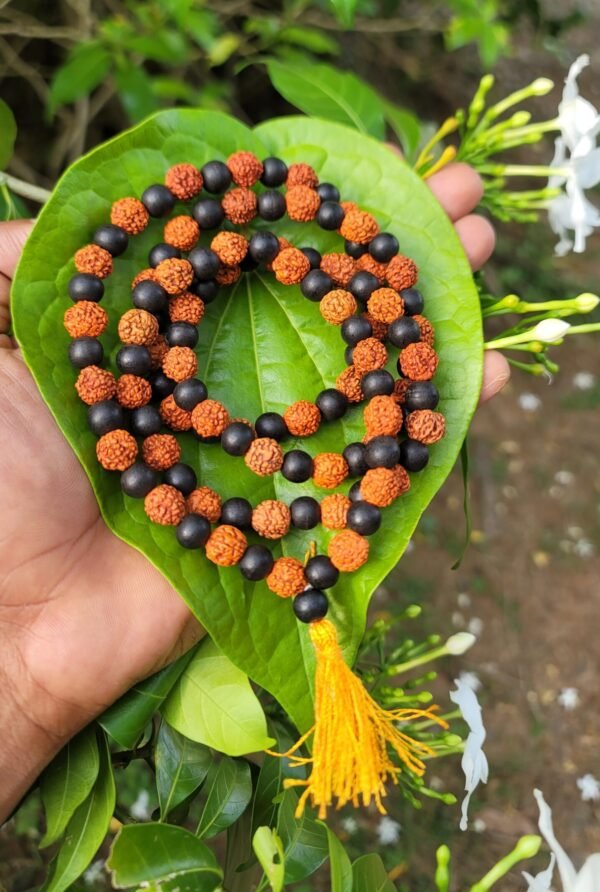 Karungali & Rudraksha Mala - 8mm