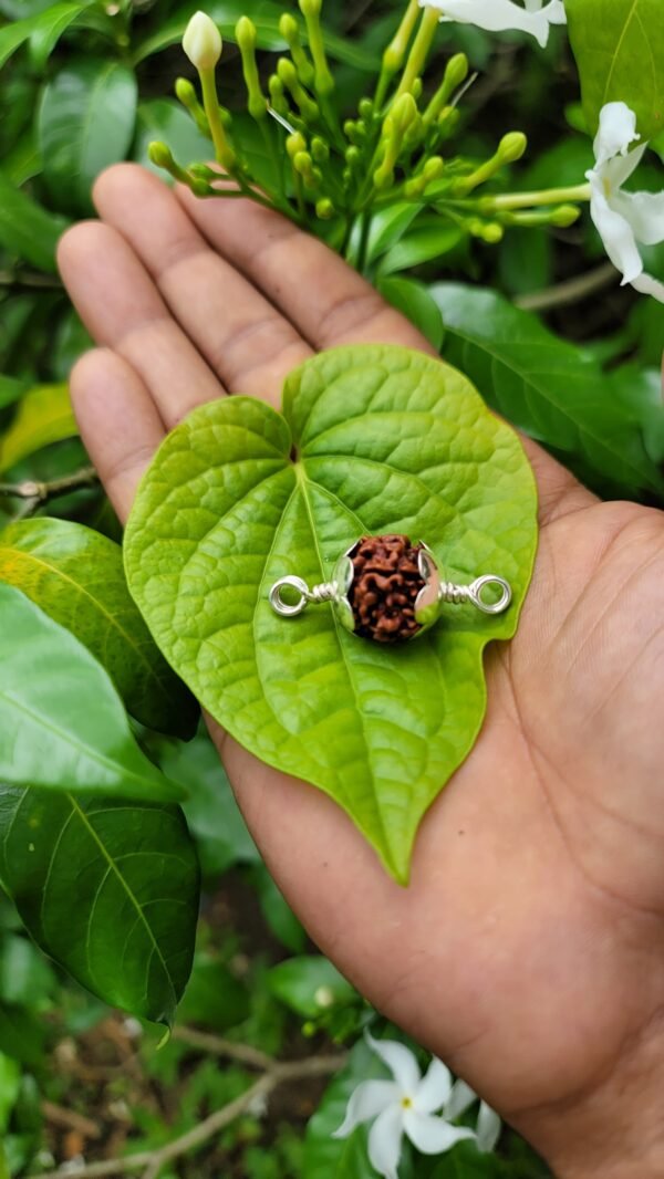 Rudraksha silver doller double side