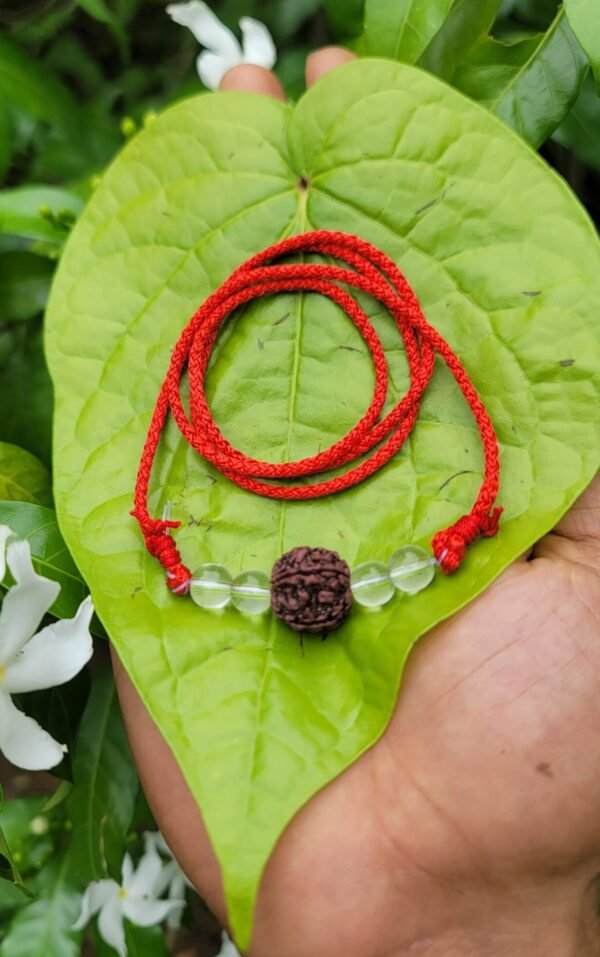 Rudraksha spatika mala