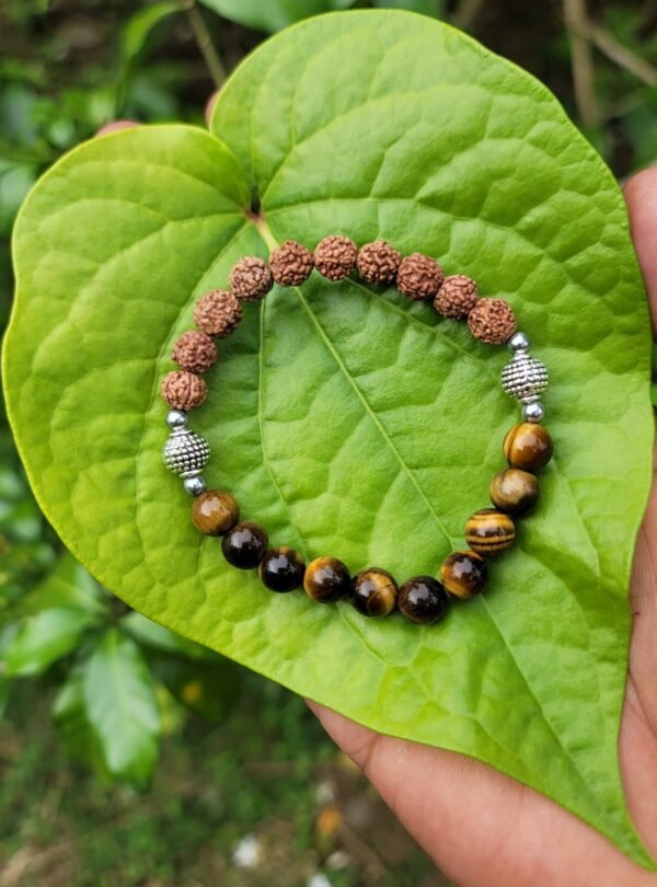 Tiger Eye with Rudraksha Bracelet - 8 MM