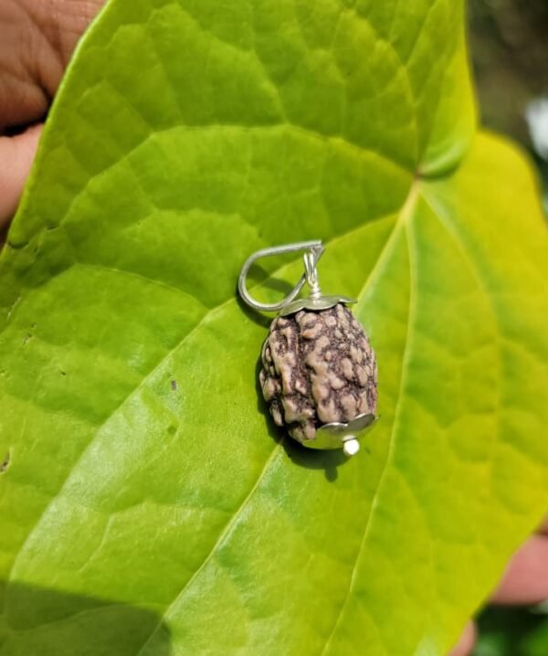 Rudraksha silver doller (3 face)