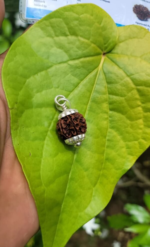 Rudraksha silver doller (7 face)