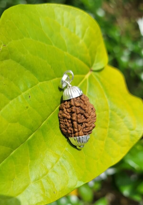 Rudraksha silver doller (2 face)