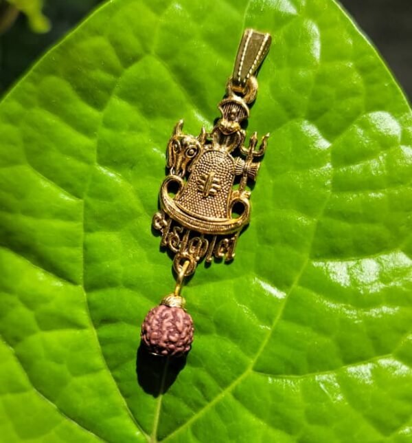 Lord Shiva Rudraksha Dollar (Locket)