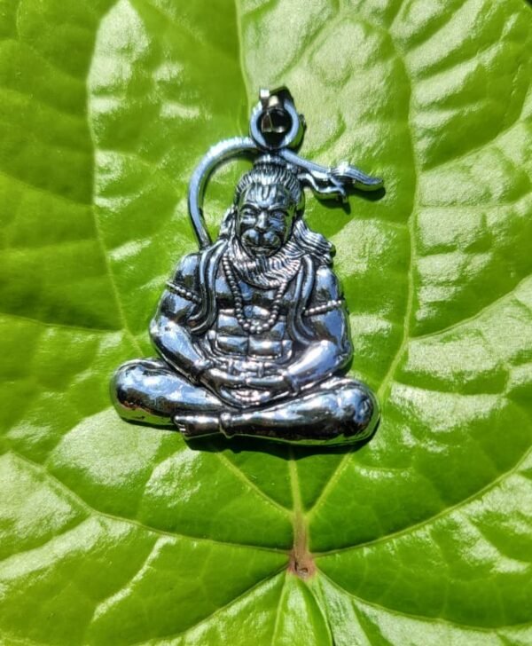 Hanuman Dollar (Locket)
