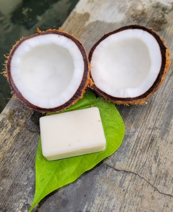 Coconut Milk Handmade Soap