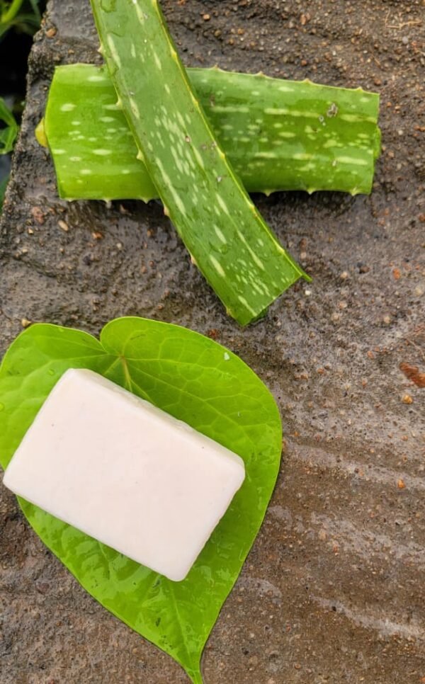 Aloe Vera Handmade Soap