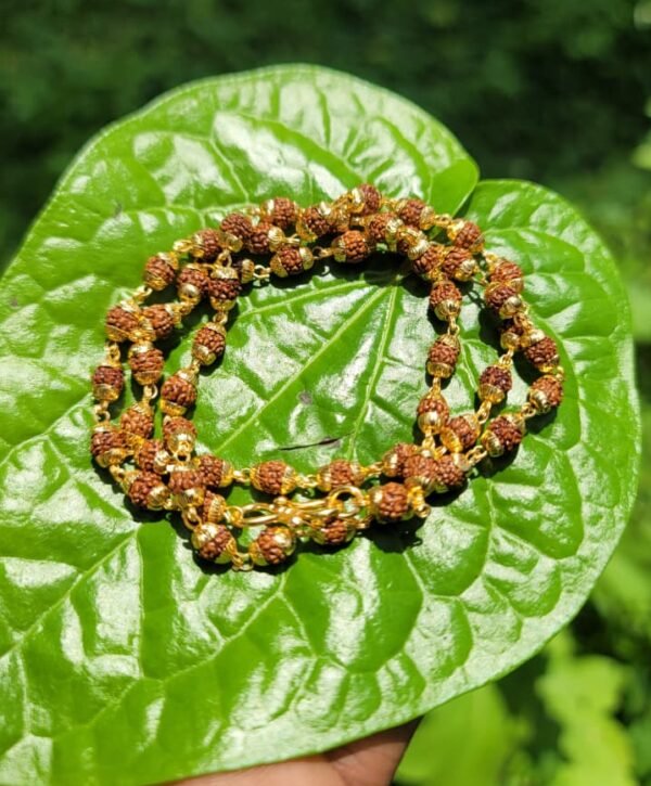 Rudraksha Mala 6mm-(Premium Gold plated)