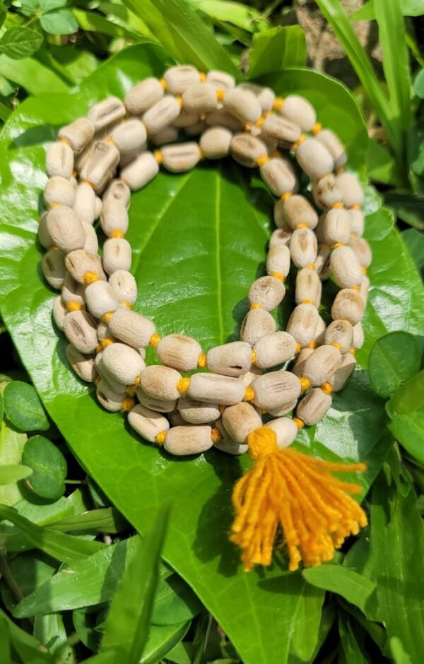 Tulasi mala semi polished