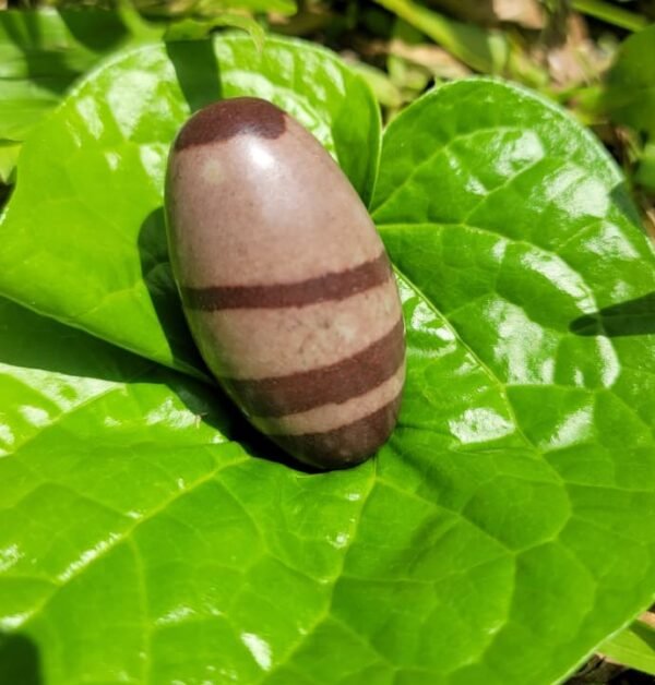 Narmada Shivling Stone (small)