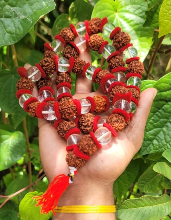 Rudraksha & spatika mala-20mm