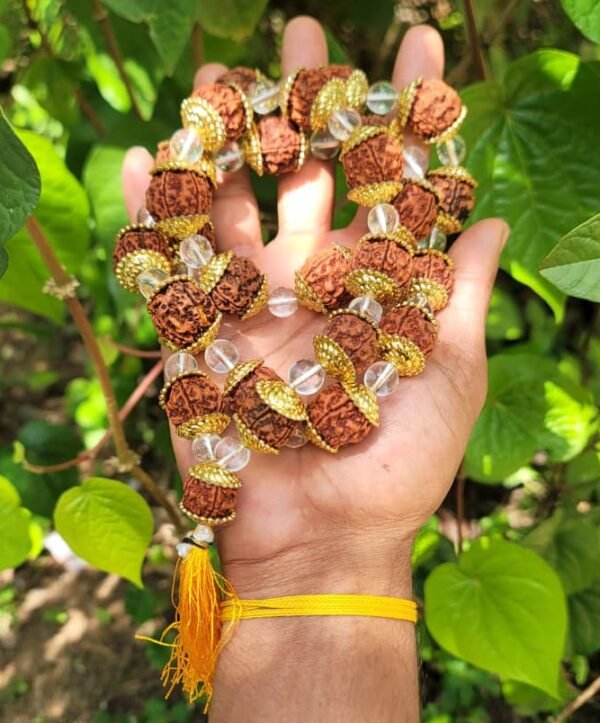 Rudraksha Golden cap & white beads