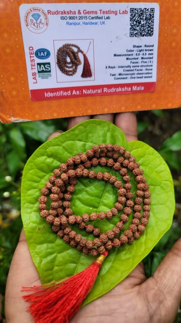 Premium Rudraksha Mala (5.5-6mm)