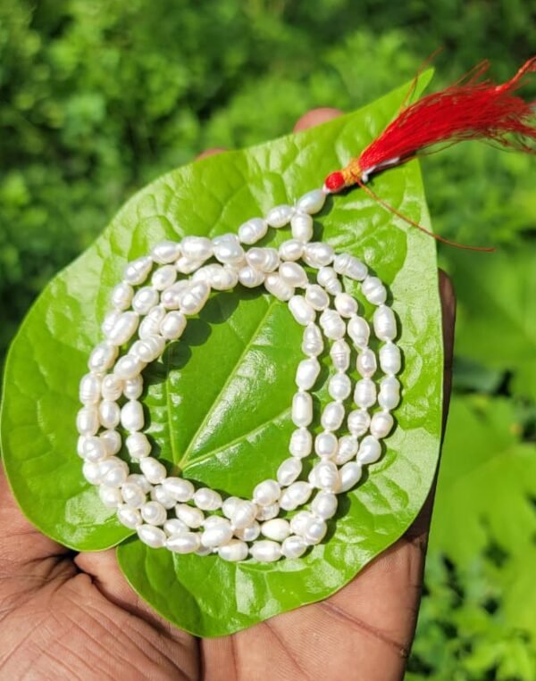 Original Pearl Moti
