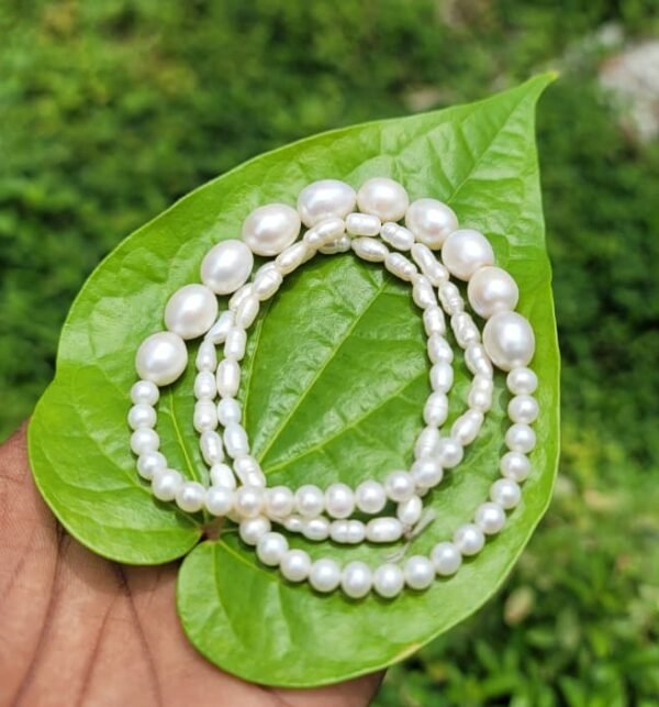 Original Pearl Moti (Plain)