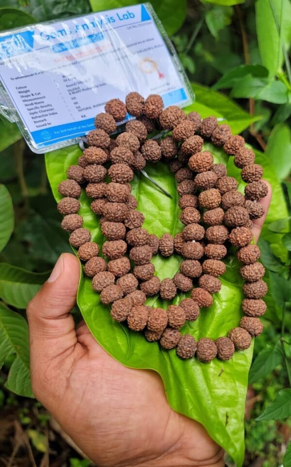 9 Face Rudraksha Mala (Nava Mukhi)10MM
